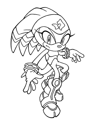 Shade The Echidna Coloring Page