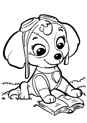 Paw Patrol Skye Reading a Book Coloring Page